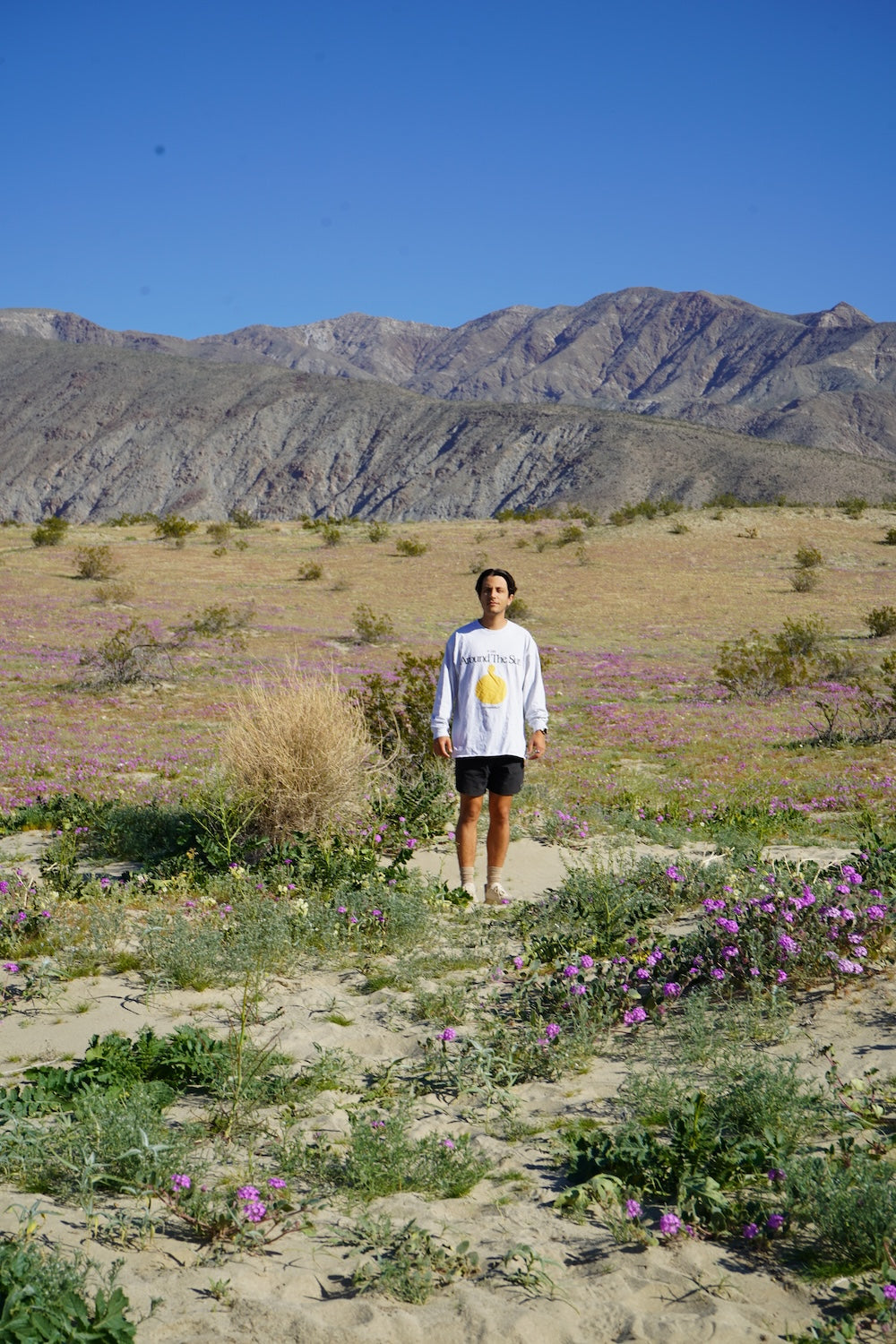 "A DAY AROUND THE SUN" Long Sleeve